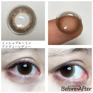 Miche Bloomin No.206 IvyLady 30片裝